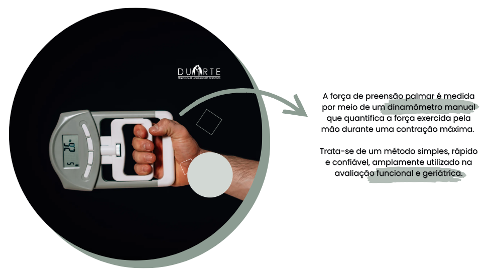 Força de Preensão Palmar: um indicador-chave da capacidade intrínseca no envelhecimento